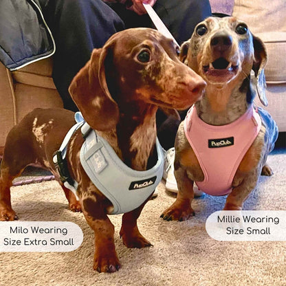 Adjustable Harness - Pastel Blue