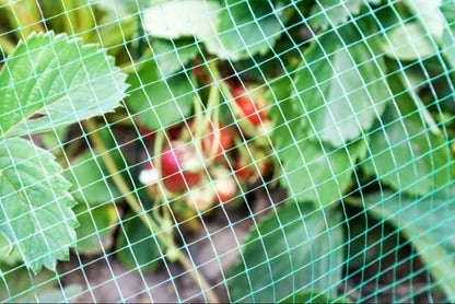 Agralan Butterfly & Bird Protection Netting