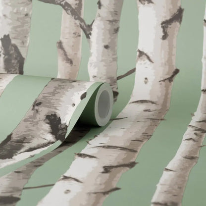 Fine Decor Birch Trees Wallpaper