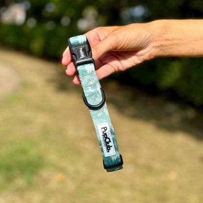 Collar - Evergreen Trails