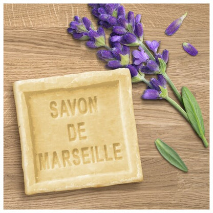 Flash Multi Purpose Home Spray 800ml