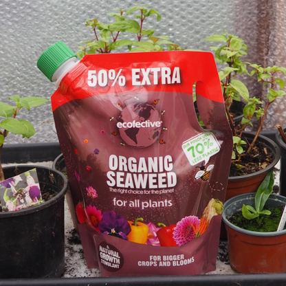Ecofective Organic Seaweed 1.2L