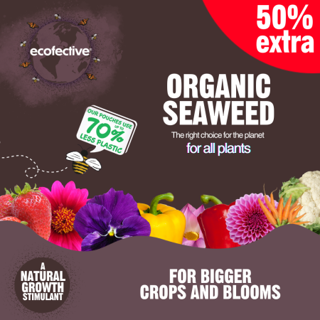 Ecofective Organic Seaweed 1.2L