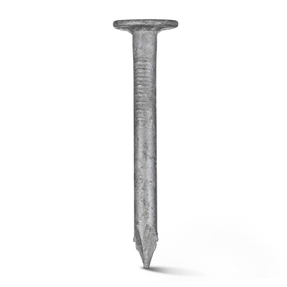 Challenge Clout - Plasterboard Nails - Galvanised (Box Pack)