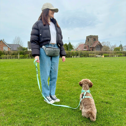 Dog Walking Bum Bag - Grey