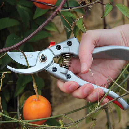 Wilkinson Sword Bypass Pruner