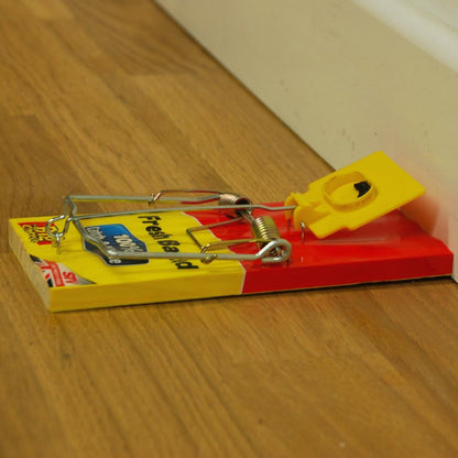 The Big Cheese Fresh Baited Rat Trap - Single