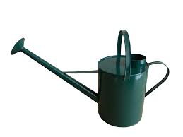 Ambassador Long Reach Green Watering Can 9L