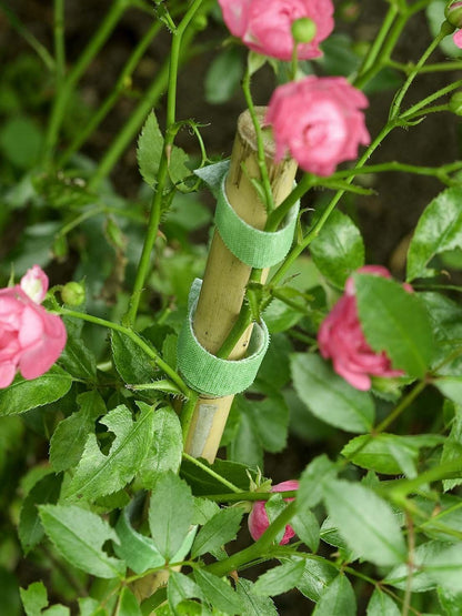 Lazos de plantas con velcro One Wrap