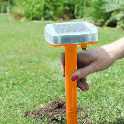 The Big Cheese Mega Sonic Solar Mole Spike