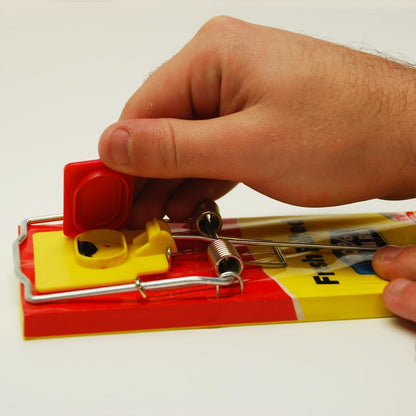 The Big Cheese Fresh Baited Rat Trap - Single
