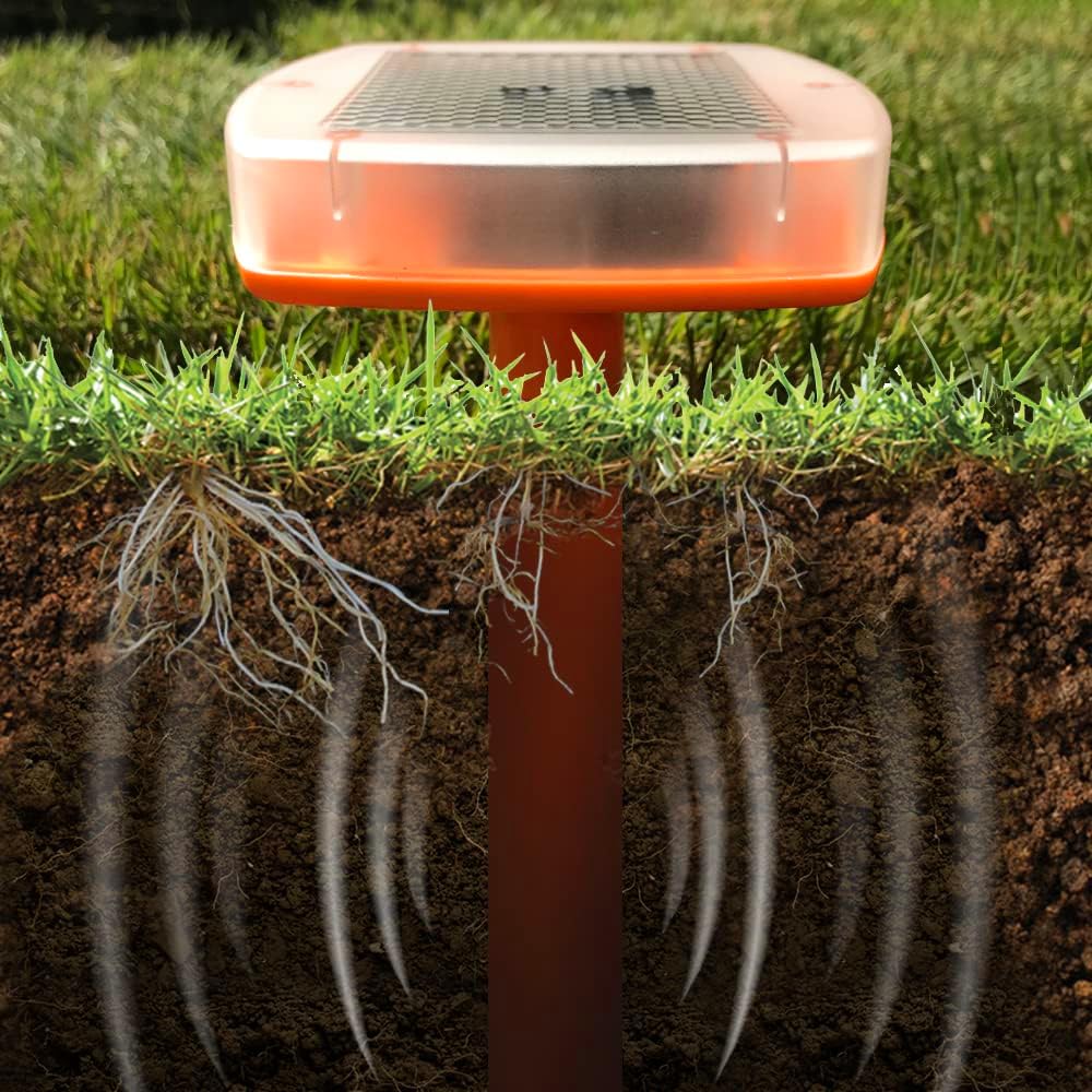 The Big Cheese Mega Sonic Solar Mole Spike