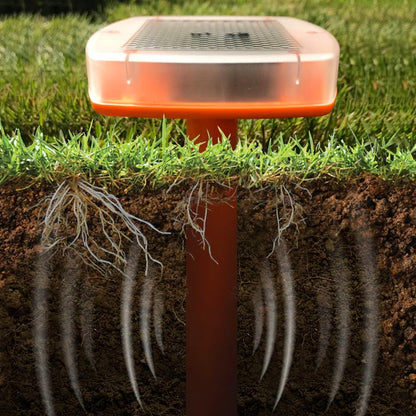 The Big Cheese Mega Sonic Solar Mole Spike