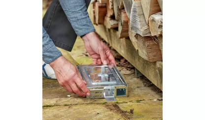 The Big Cheese Poison Free Ready Baited Live Multi Catch Mouse Trap