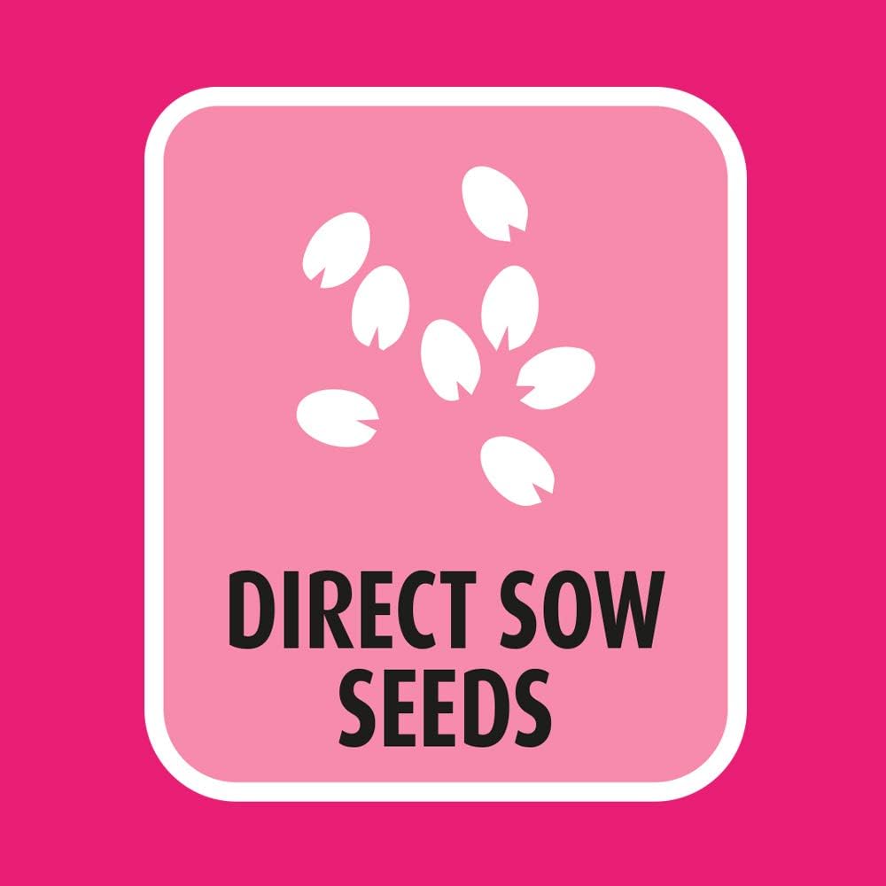 Doff Lawn Seed 500g FSDU 110