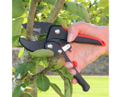 Wilkinson Sword Anvil Pruning Shears