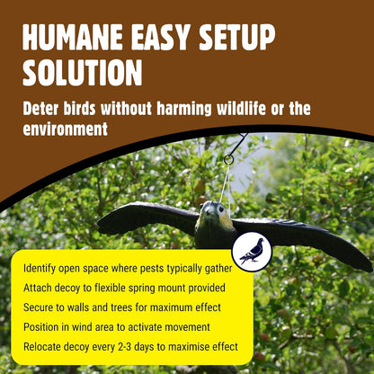 The Big Cheese Flying Falcon