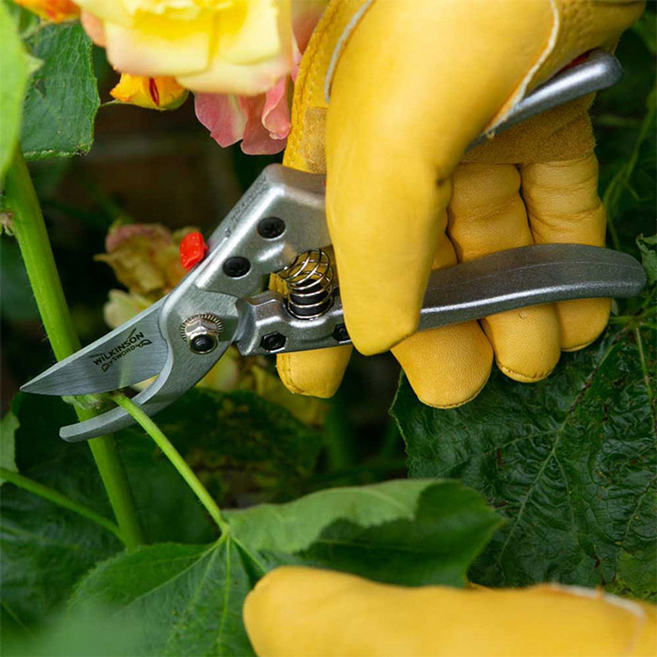 Sécateur à dérivation moyenne Wilkinson Sword