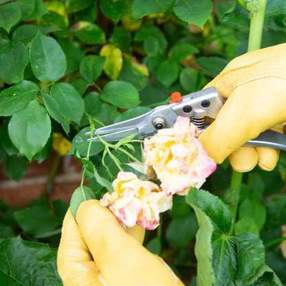 Wilkinson Sword Comfort Snip Pruner