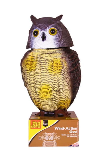 The Big Cheese Wind Action Owl