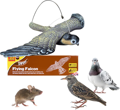 The Big Cheese Flying Falcon