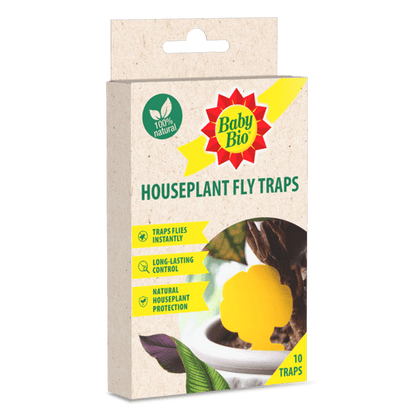 Baby Bio Houseplant Fly Traps Pack 10