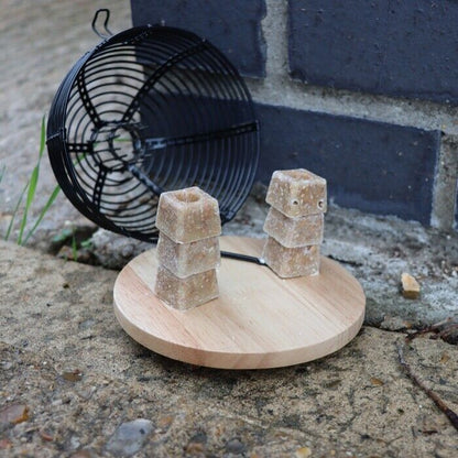 The Big Cheese Poison Free Ready Baited Live Mouse Trap