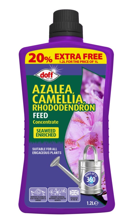 Doff Azalea Camillia & Rhodedendron Feed Concentrate 1.2L Extra Fill