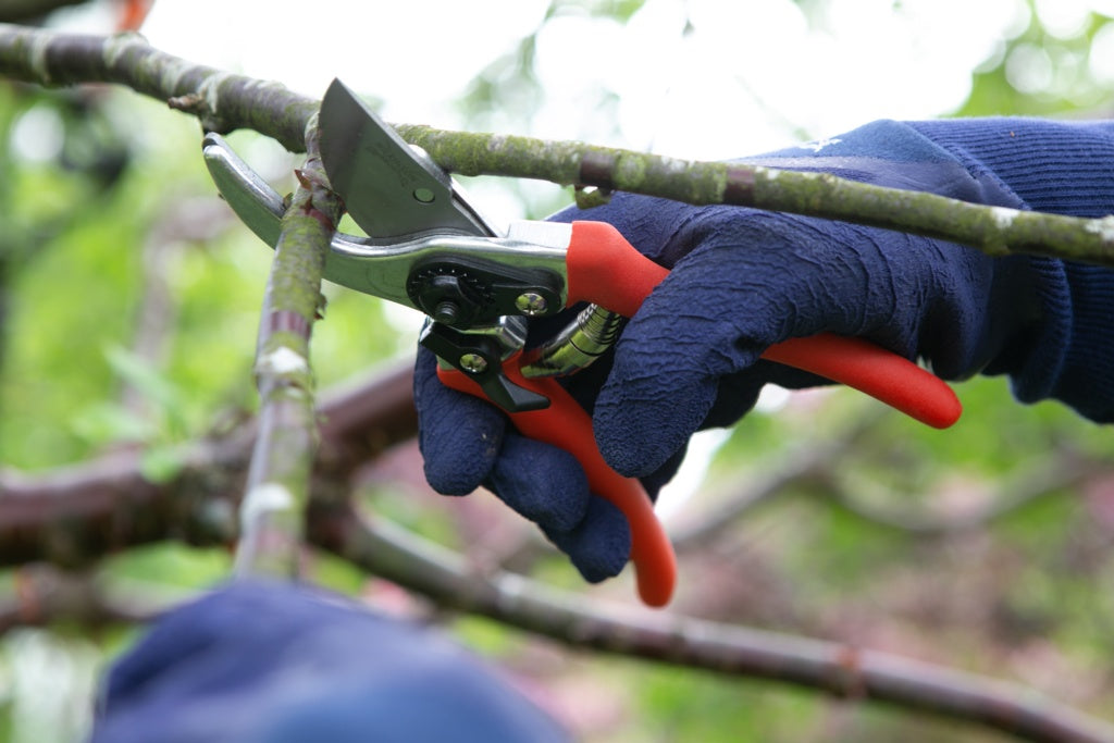 Wilkinson Sword Folding Saw & Pruner Set