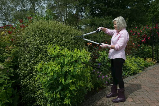 Wilkinson Sword Ultralight Hedge Shears