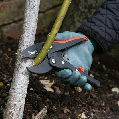 Wilkinson Sword Anvil Pruning Shears