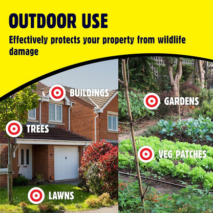 The Big Cheese Flying Falcon