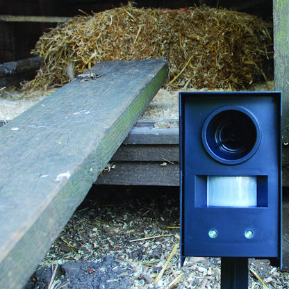 The Big Cheese Mega Sonic Fox Repeller