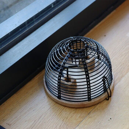 The Big Cheese Poison Free Ready Baited Live Mouse Trap