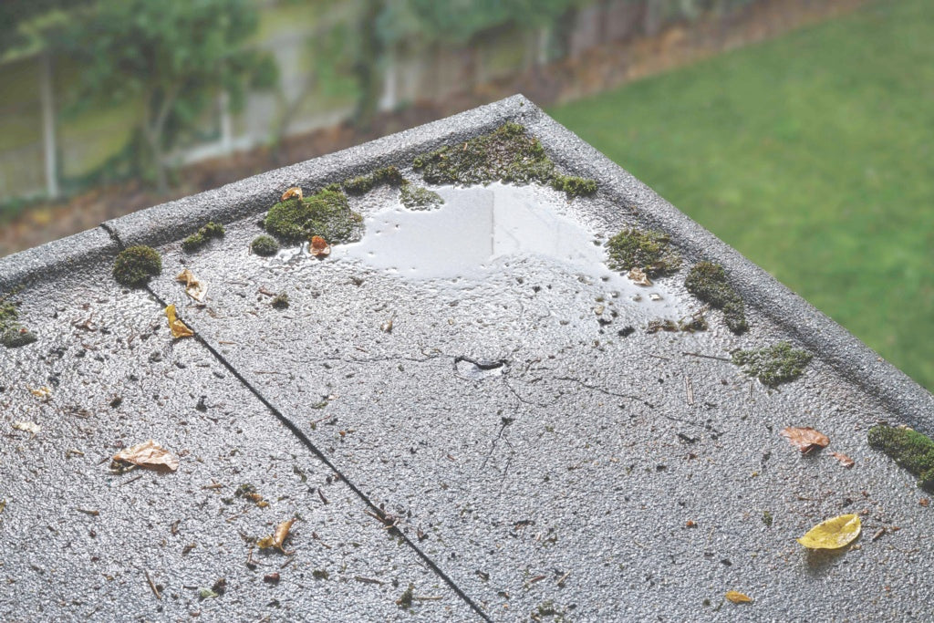 Thompson's Emergency Roof Repair Mastic - 750ml