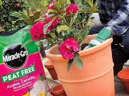 Miracle-Gro® Ericaceous Peat Free Compost