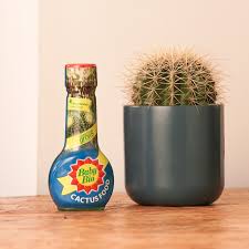 Baby Bio Cactus Food