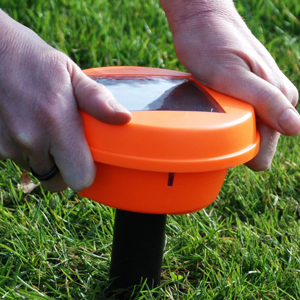 The Big Cheese Advanced Solar Mole Repeller