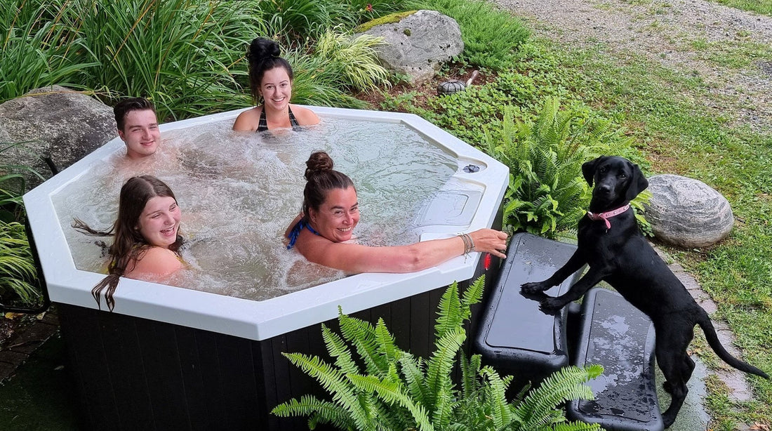 Canadian Spa Muskoka 14-Jet 4-Person Spa