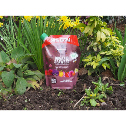 Ecofective Organic Seaweed 1.2L