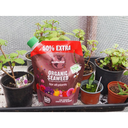 Ecofective Organic Seaweed 1.2L