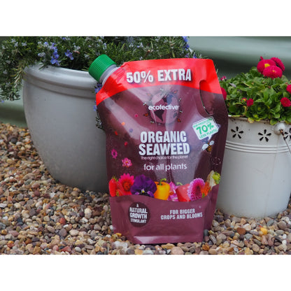 Ecofective Organic Seaweed 1.2L