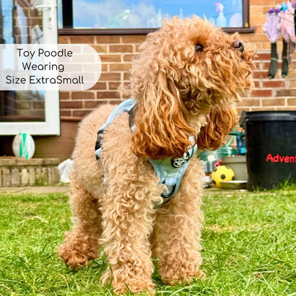 Rugged Rover™ Harness - Pastel Blue