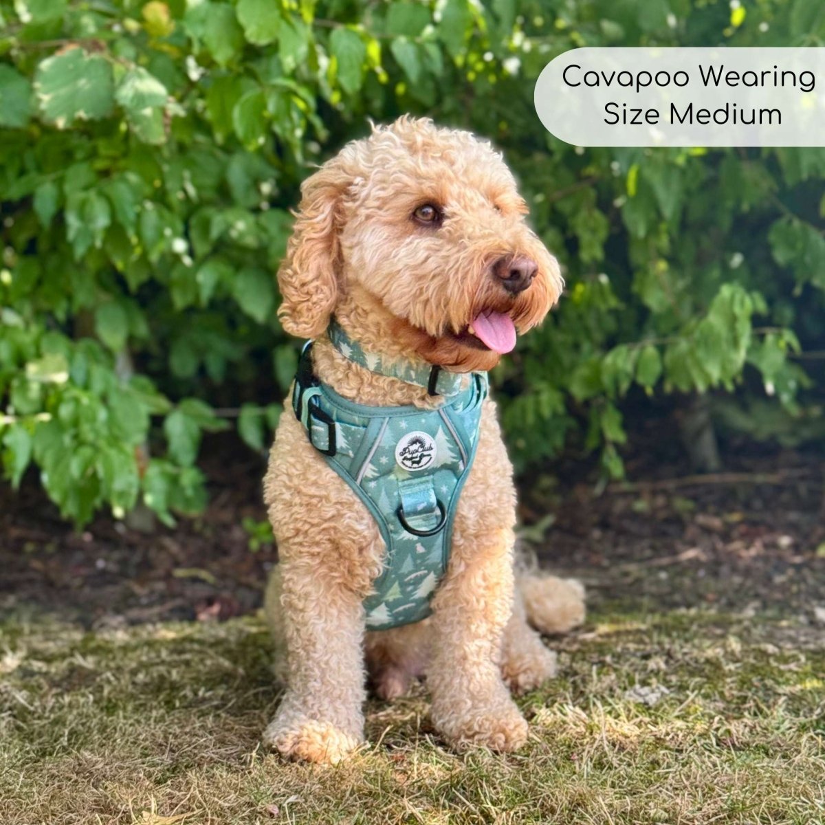 Rugged Rover™ Harness - Evergreen Trails