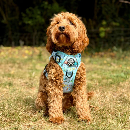 Rugged Rover™ Harness - Jurassic Party