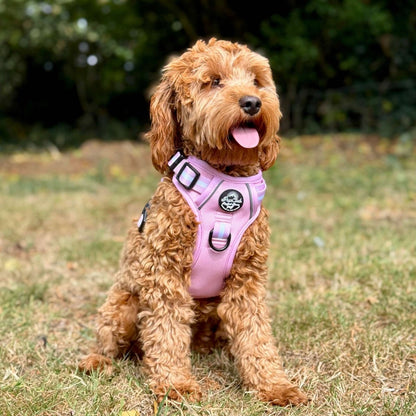 Rugged Rover™ Harness - Pastel Pink