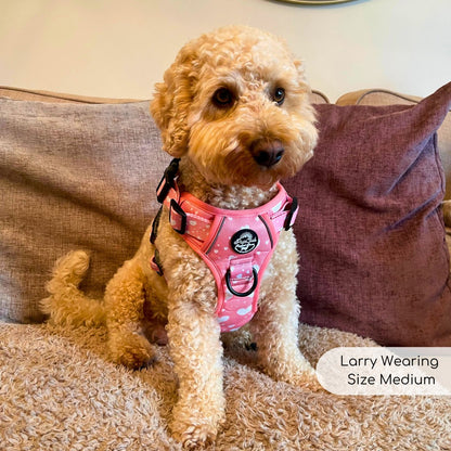 Rugged Rover™ Harness - Peachy Hearts