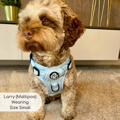 Rugged Rover™ Harness - Pastel Blue