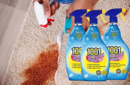 1001 Carpet Stain Remover