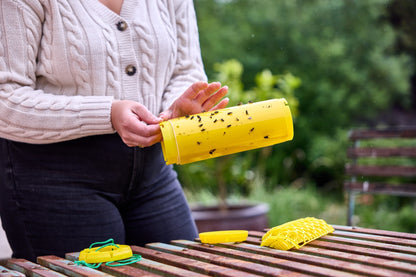 Zero In New Gen Fly Traps Twin Pack